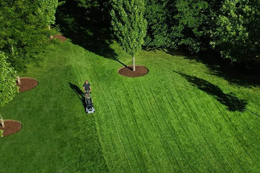 top rated battery operated lawn mowers